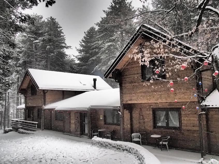 Hotel Chalet Clan Dei Ragazzi Linguaglossa Exterior foto